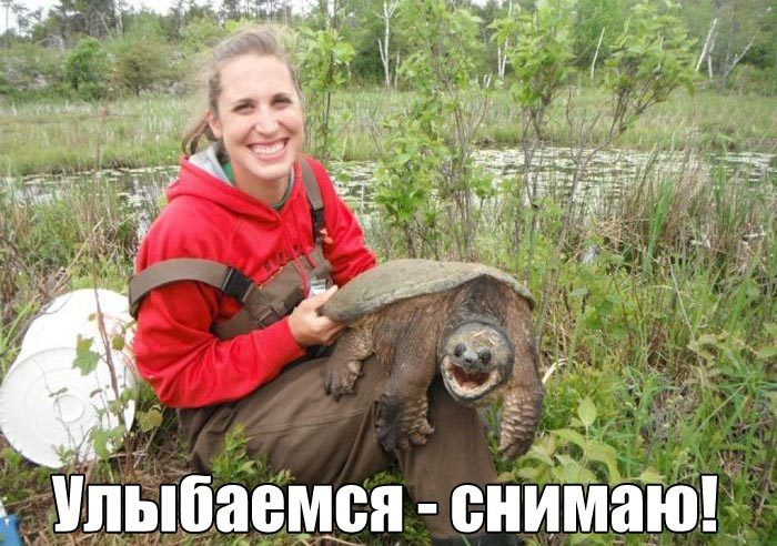 Смехопанорама Писца. Полный улёт!