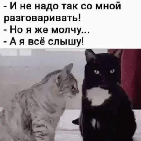 Свежие картинки с надписями 