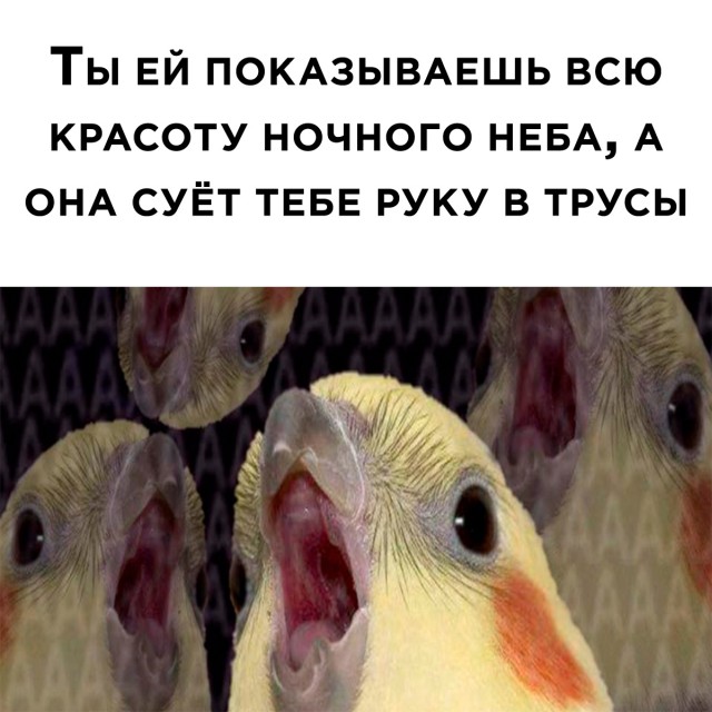 Подборка смешных картинок Подборка смешных картинок приколы,смешные картинки,юмор