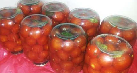 Рецепт вкусных помидор на зиму без зелени рецепты