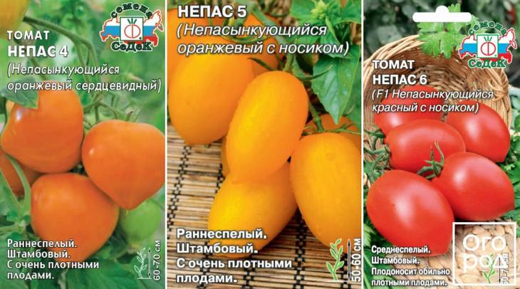 Помидоры непас описание сорта. Семена томат оранжевый Непас. Томат Непасынкующийся оранжевый с носиком -Непас 5 (СЕДЕК). Сорт томатов Непас. Томат Непас 9.