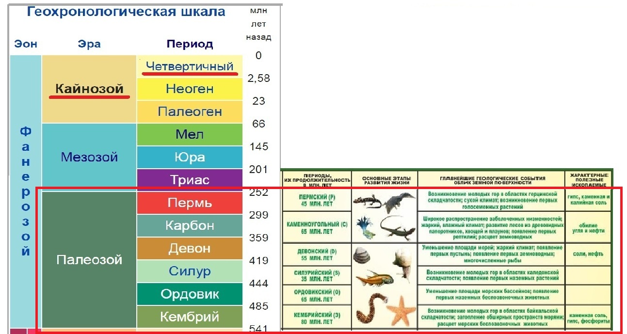 Проанализировав текст и рисунки параграфа продолжите заполнение в тетради таблицы эра мезозойская