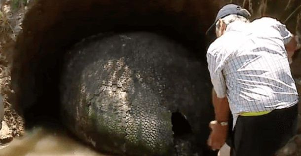 Фермер нашел огромное яйцо динозавра. Но реальность была намного безумнее!