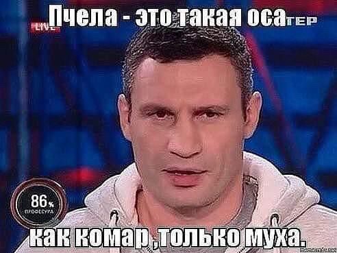 Кличко жжёт! Кличко жжёт!