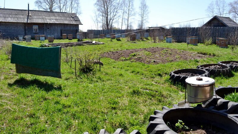 Чего-то не хватило в государстве нашем, а вот чего Кировская область, деревня, разруха, фото