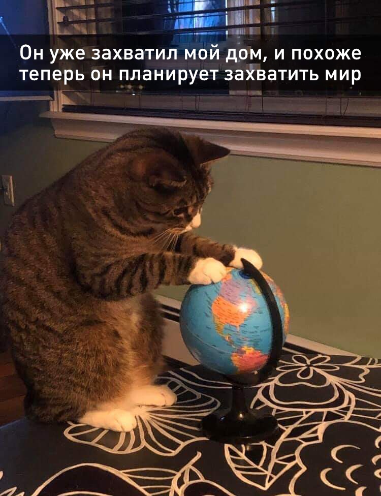    429