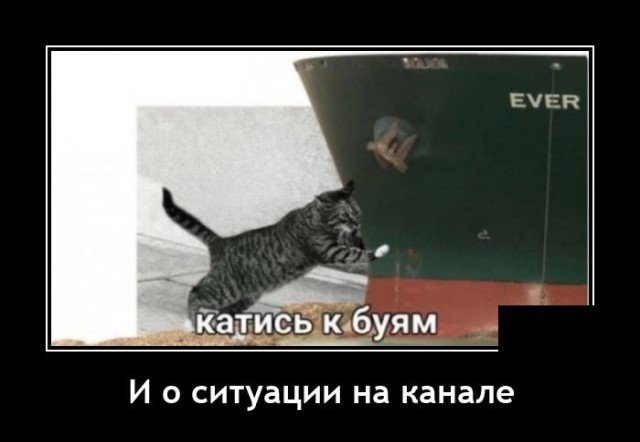 Самые новые демотиваторы  демотиваторы