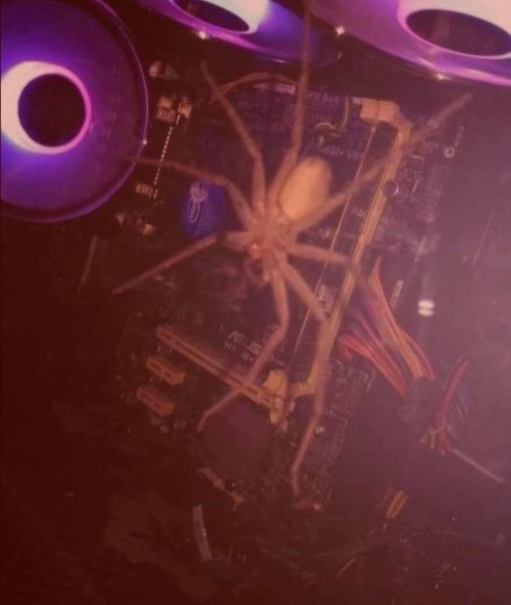 Подборка прикольных картинок Подборка прикольных картинок приколы,смешные картинки,юмор