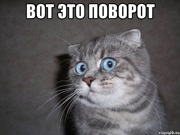 Моё хобби 2
