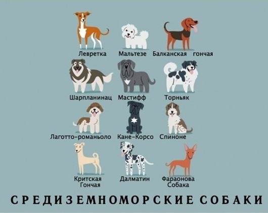 clip_image014