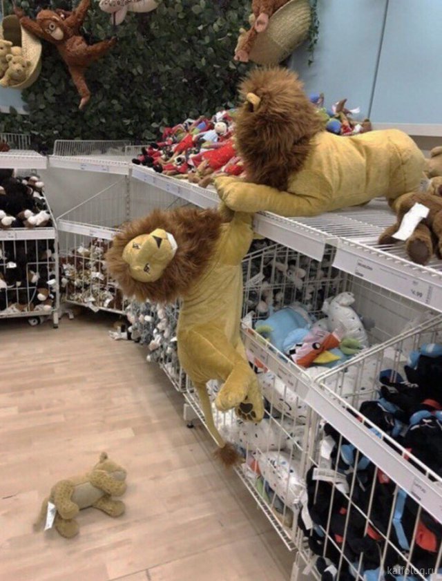 Приколы вторника (35 фото)