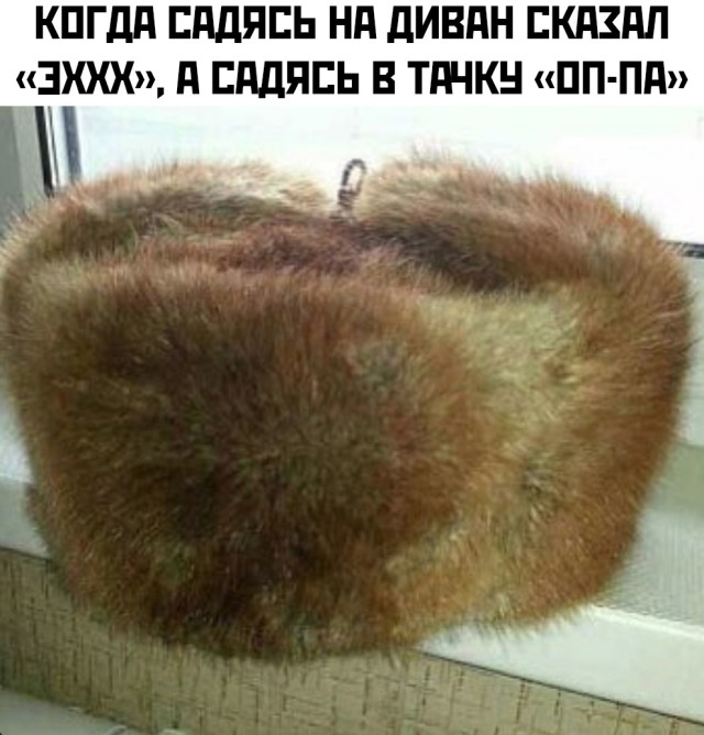 Подборка прикольных картинок Подборка прикольных картинок приколы,смешные картинки,юмор