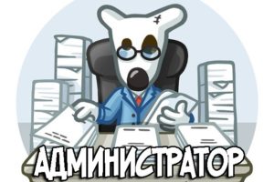 Создание и ведение пабликов