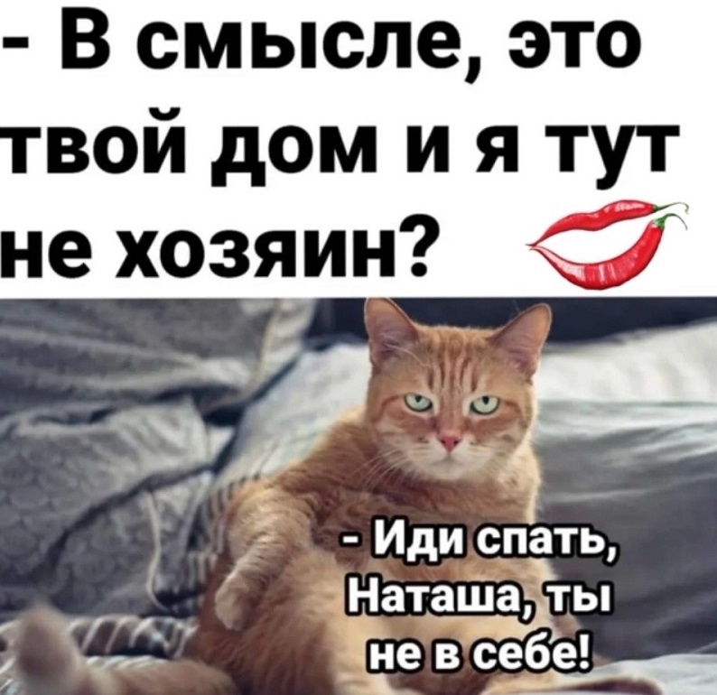Немножко смешных зверушек... Надёргано , отовсюду