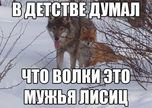 Прикольные фотомемы (28 шт)