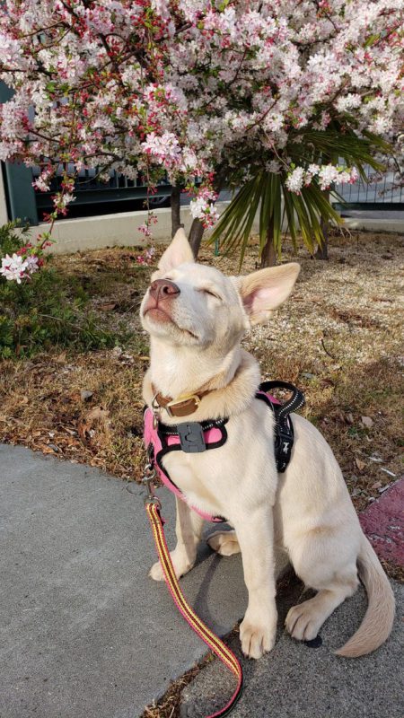 Мимишные фото от которых на душе станет теплее