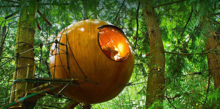 Этот канадский отель со сферическими домиками предлагает вам спать на деревьях Отель, дизайн, креатив