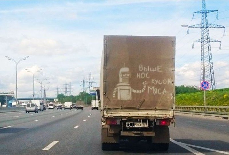 Еноты и не только.. Фото-приколы! Смешные прикольные картинки, фото приколы