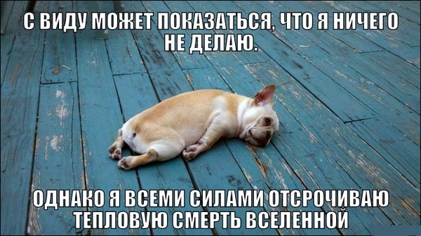 Физики тоже шутят: самые смешные открытки про науку!