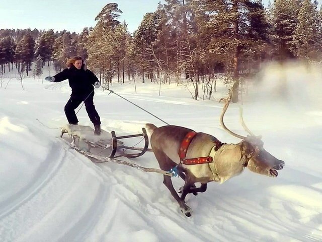 Автовсячина Автовсячина, авто, автомобиль, автоприкол, машина, прикол