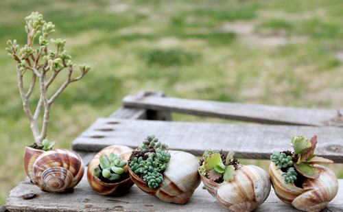 38 Потрясающих цветочных горшков и ваз