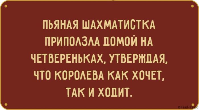 Шутки для женщин с уникальным чувством юмора картинки