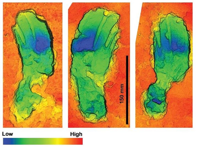 Особенностит походки ученые выявляли по форме и глубине следов.