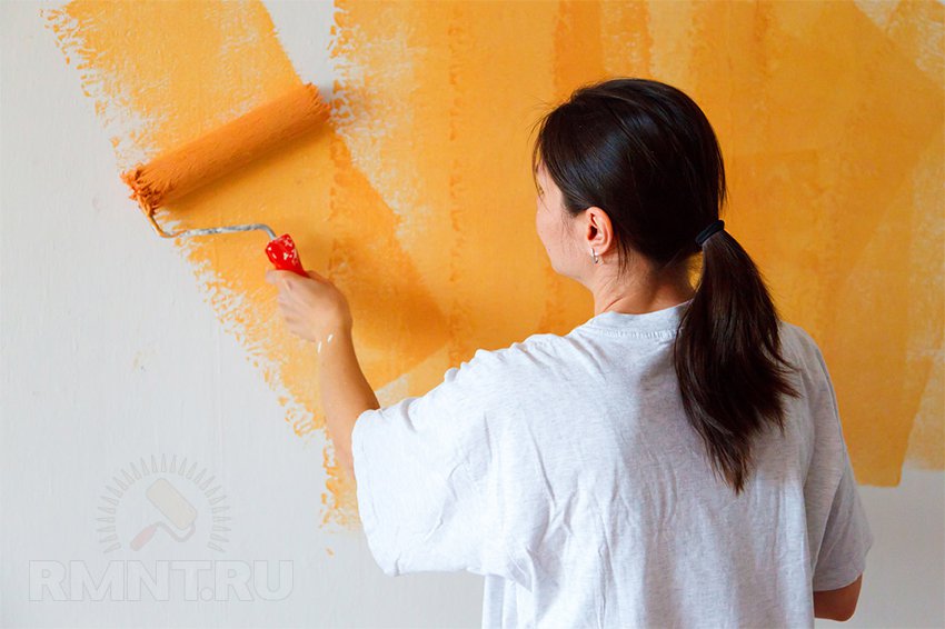 Как покрасить стены: какую краску выбрать и последовательность работ