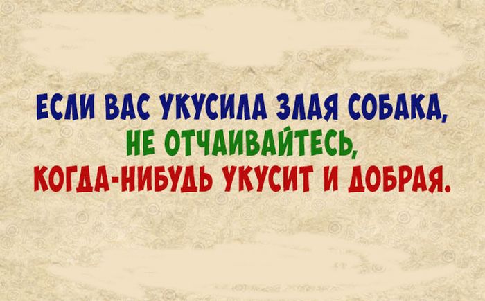 Убойная подборка анекдотов для отличного выходного дня 