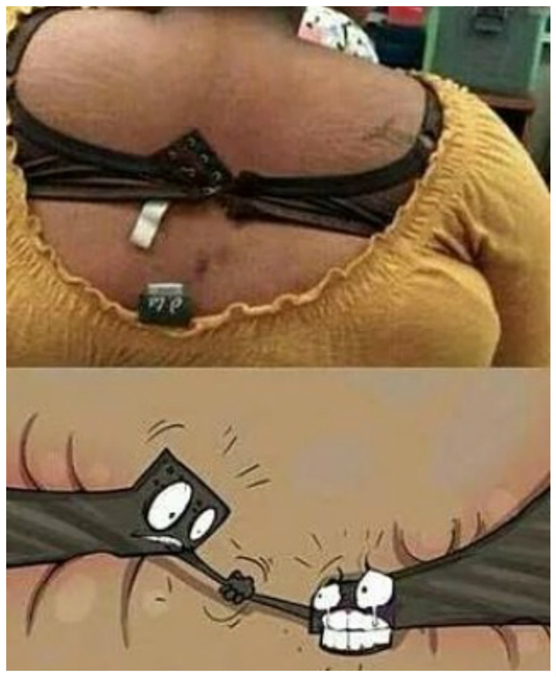 Скажите честно - вам их тоже жалко? изменения, интересное, похудение, юмор