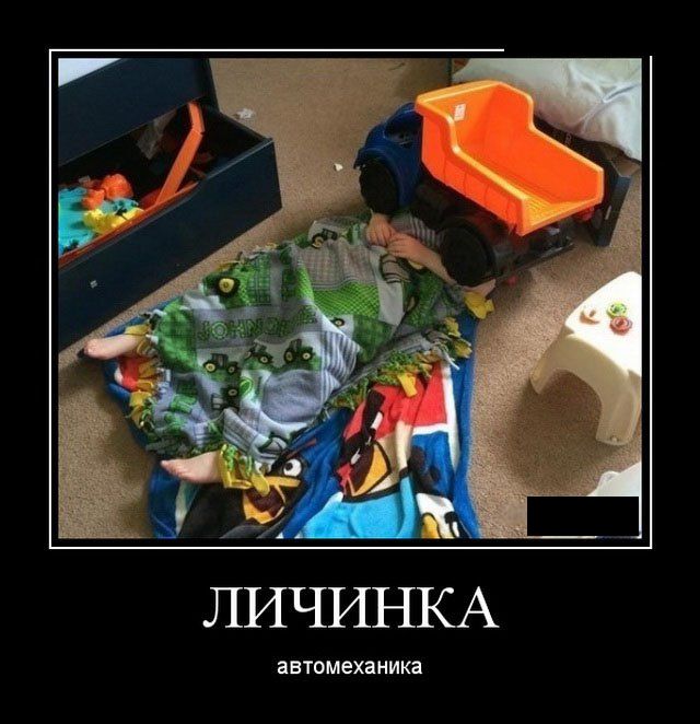 Пятничные демотиваторы для веселья (11 фото)