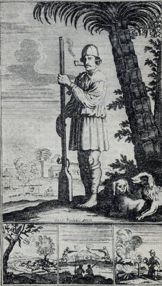 Два Гаити острова Эспаньола Два Гаити острова Эспаньола история