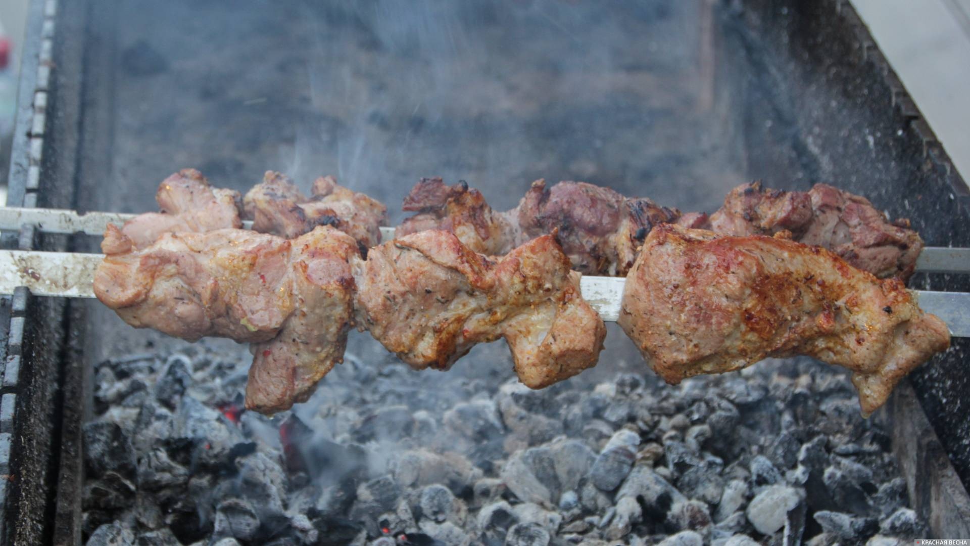 Более половины жителей Британии избегают суррогатов мяса: вкус и цена не те