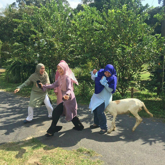 17 случаев, когда люди магнитом притягивали к себе неприятности 17 случаев, когда люди магнитом притягивали к себе неприятности