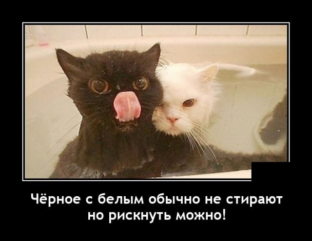 Самые новые демотиваторы Самые новые демотиваторы демотиваторы