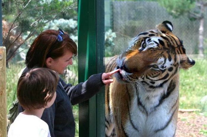 Забавные фотографии, классные картинки для веселья 