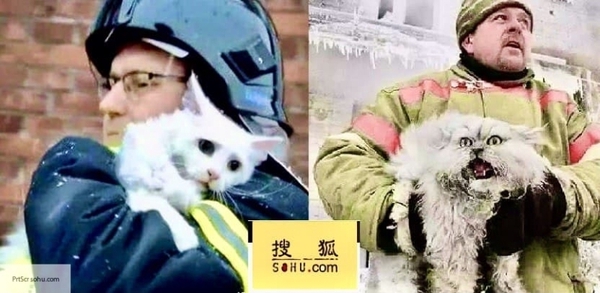 Боевые кошки из России восхитили китайских журналистов