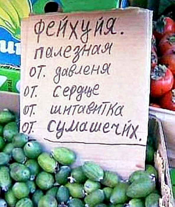 Народное творчество: 17 сногсшибательных объявлений с рынка, которые заставят посмеяться от души 