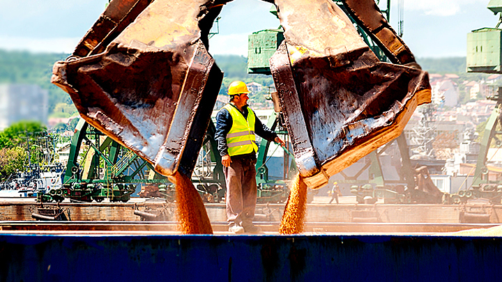 ВЫВЕЗТИ ЗЕРНО: КАК УКРАИНУ ОСТАВЯТ БЕЗ ХЛЕБА, А РОССИЮ – БЕЗ ПОБЕДЫ