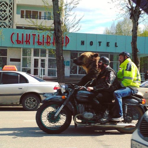 АВТОприколы на Бугаге (20 фото)