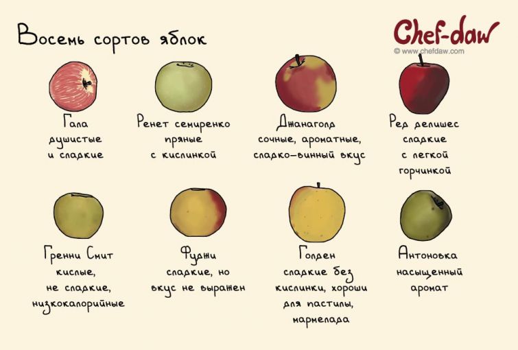  Chef-daw, рецепты в картинках