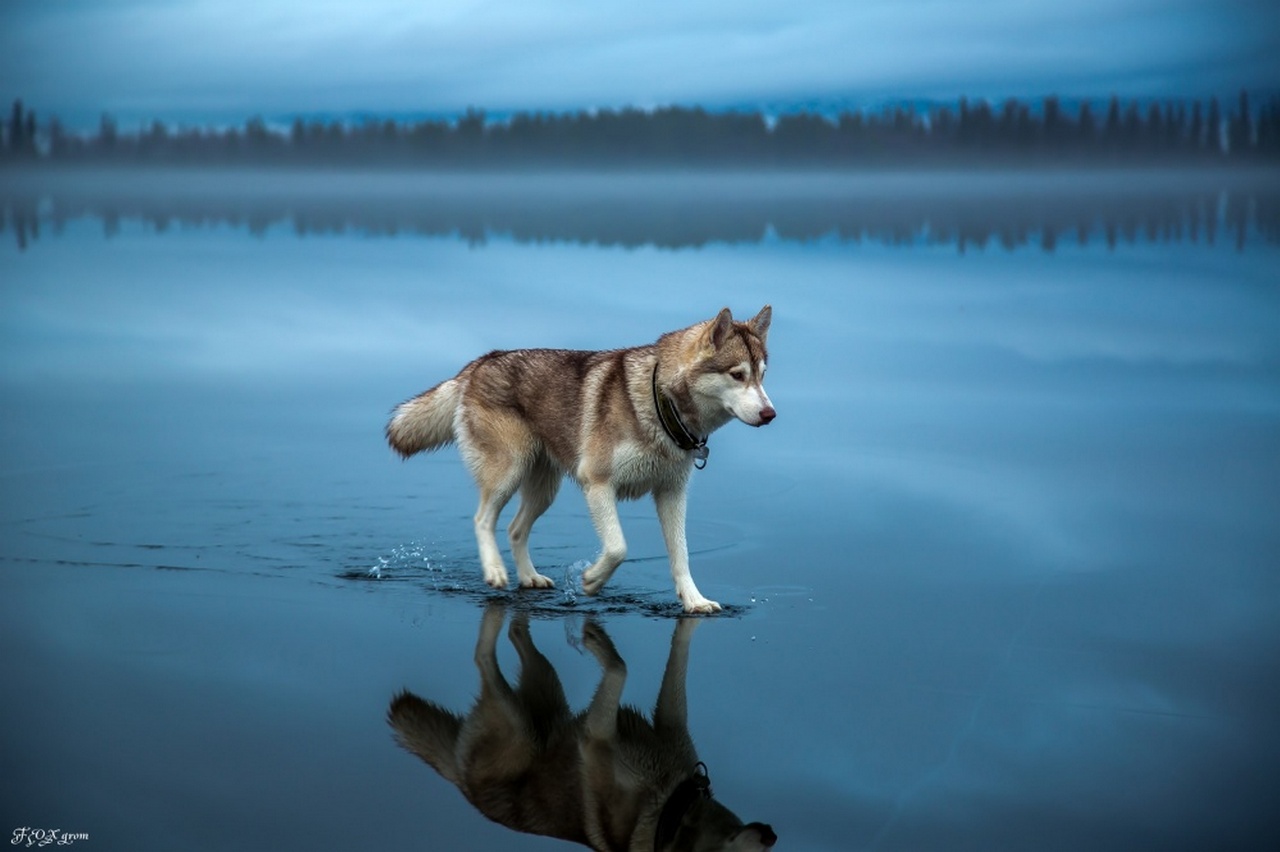 Лучшее от National Geographic (1)