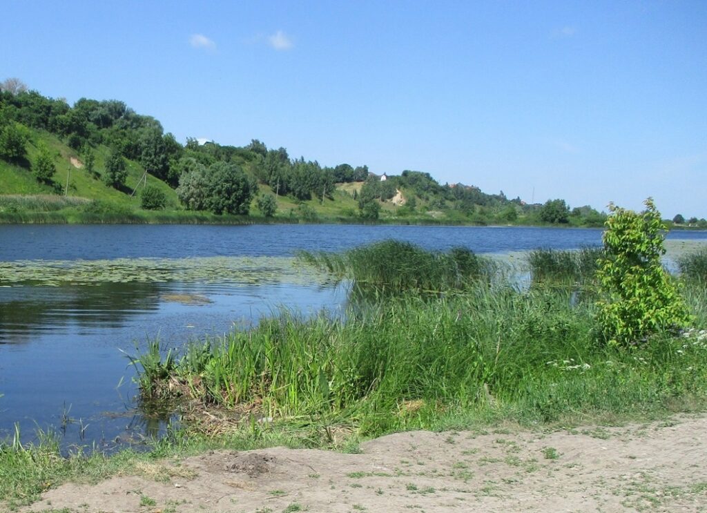 Водоёмы во всех районах Рязани проверили сотрудники администрации