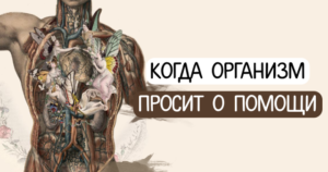 Когда организм просит о помощи: 15 важных сигналов — ЗАПОМНИ ЭТО!!!