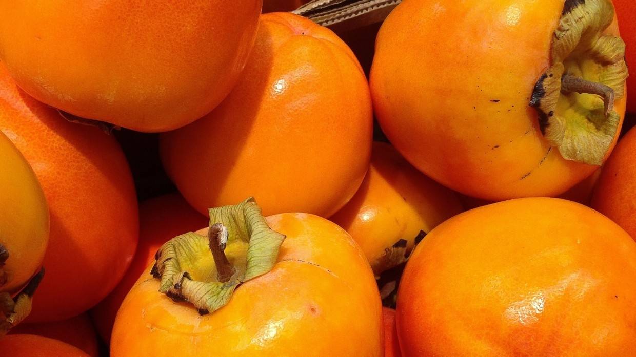 Шеф-повар Матвеев назвал внешний вид и сорт важными критериями для выбора хурмы