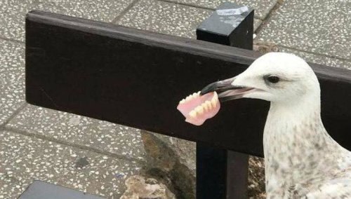 Что здесь происходит?! Что здесь происходит?! смешные картинки