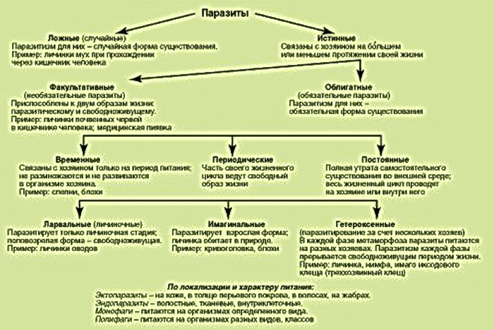Сравнительная таблица кормов для собак Аквариумные рыбки, Корм для собак, Аквари