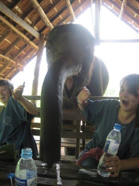 Прикольные картинки. Дневной выпуск (50 фото)