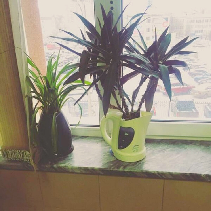 17 забавных фотографий, доказывающих, что неразрешимых задач не бывает изобретательность,смекалка