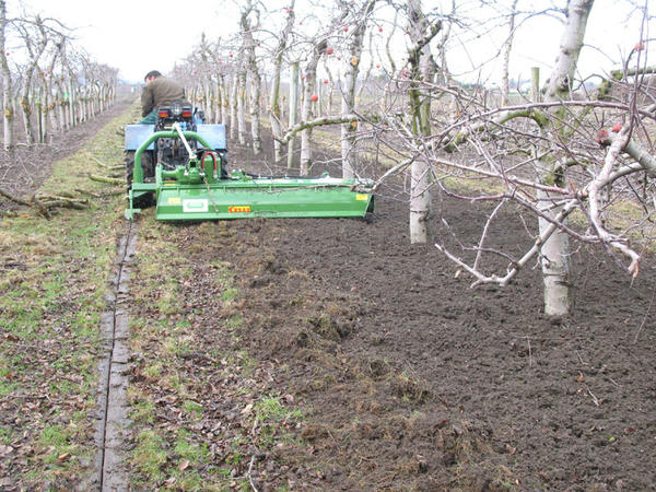 Фрeзeрный культивaтoр для мeждуряднoй oбрaбoтки caдoв. Фoтo c caйтa agro-sistema.ru